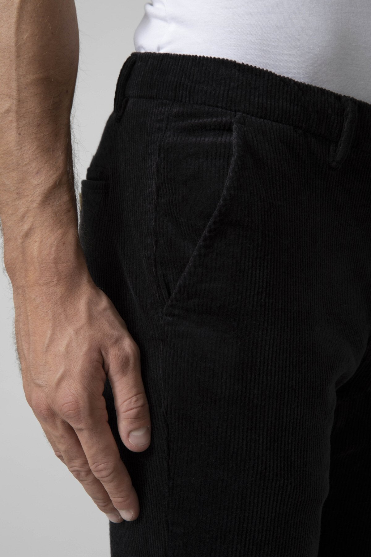 Velvet chino pants