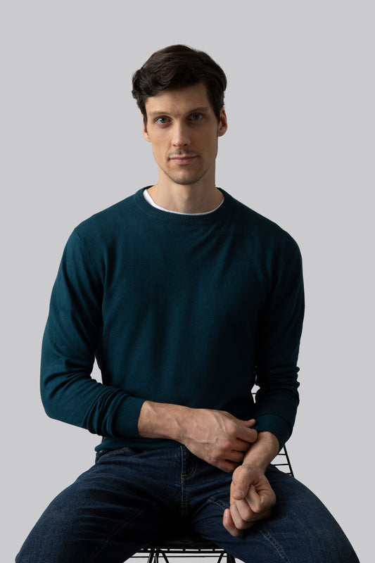 Crew neck sweater with jacquard stitch