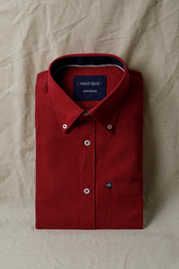 Camicia Button Down in misto lino cotone